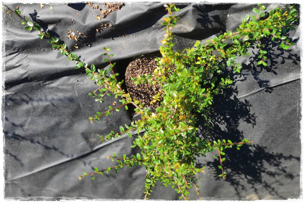 Fotowoltaika w ogrodzie 43 Fotowoltaika w ogrodzie 43