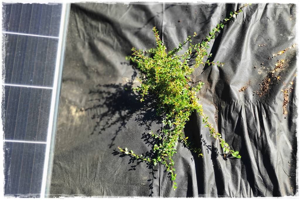 Fotowoltaika w ogrodzie 44 Fotowoltaika w ogrodzie 44