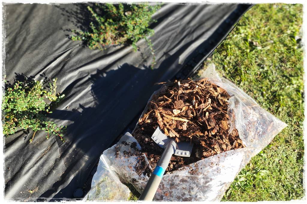 Fotowoltaika w ogrodzie 47 Fotowoltaika w ogrodzie 47