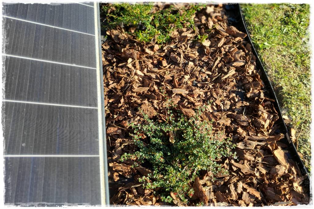 Fotowoltaika w ogrodzie 49 Fotowoltaika w ogrodzie 49