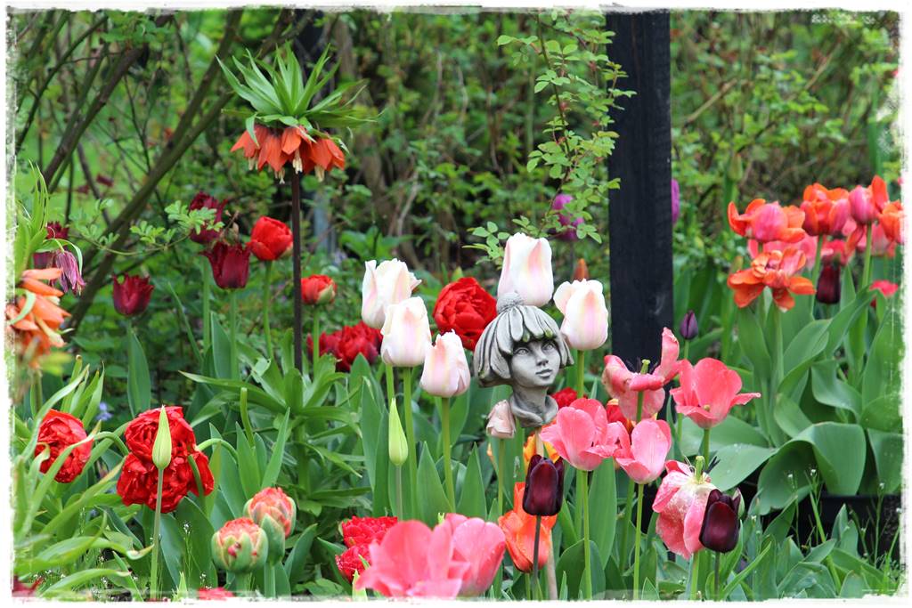 Jak sadzić kwiaty cebulowe 1 Jak sadzić kwiaty cebulowe 1