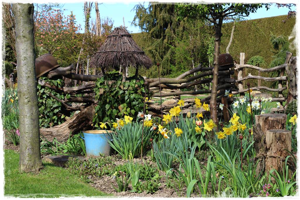 Jak sadzić kwiaty cebulowe 2 Jak sadzić kwiaty cebulowe 2