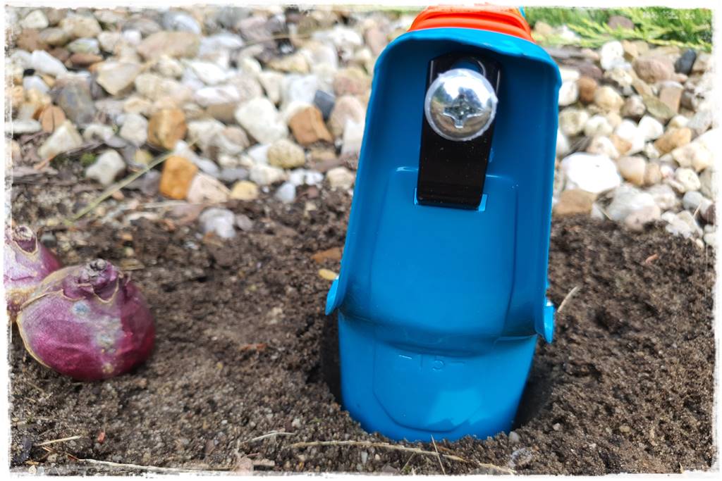 Jak sadzić kwiaty cebulowe 23a Jak sadzić kwiaty cebulowe 23a