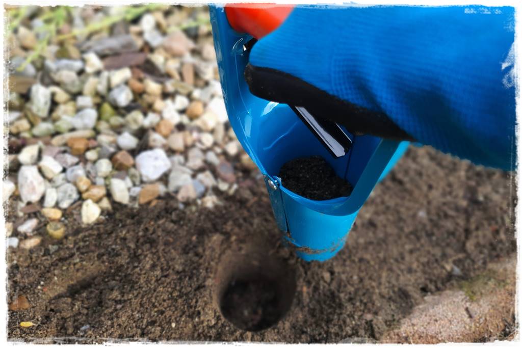 Jak sadzić kwiaty cebulowe 24 Jak sadzić kwiaty cebulowe 24