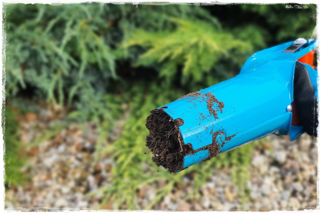 Jak sadzić kwiaty cebulowe 25 Jak sadzić kwiaty cebulowe 25