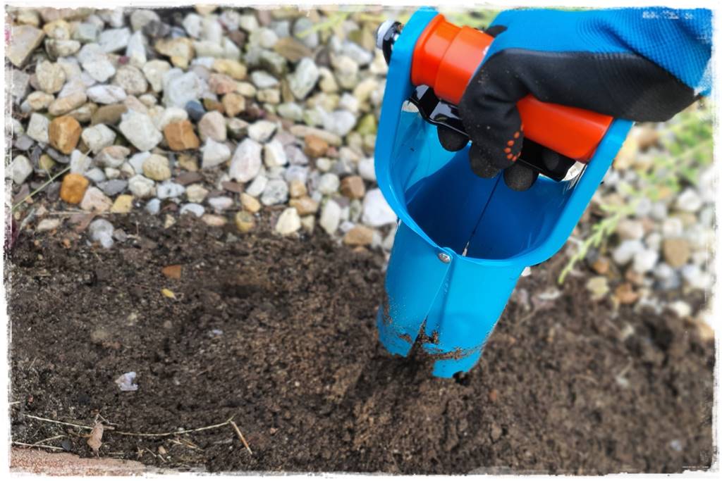 Jak sadzić kwiaty cebulowe 27 Jak sadzić kwiaty cebulowe 27