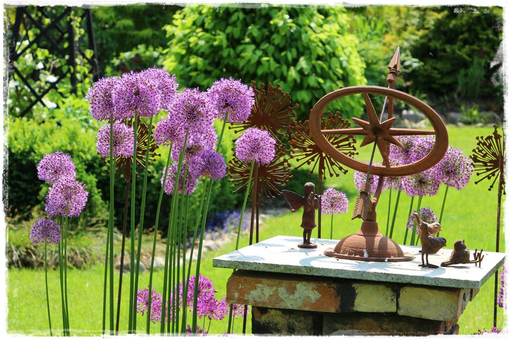 Jak sadzić kwiaty cebulowe 6 Jak sadzić kwiaty cebulowe 6