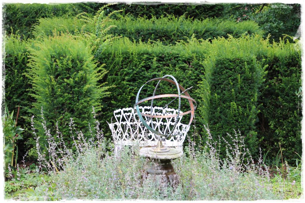 Kiedy sadzić żywopłot 15 Kiedy sadzić żywopłot 15