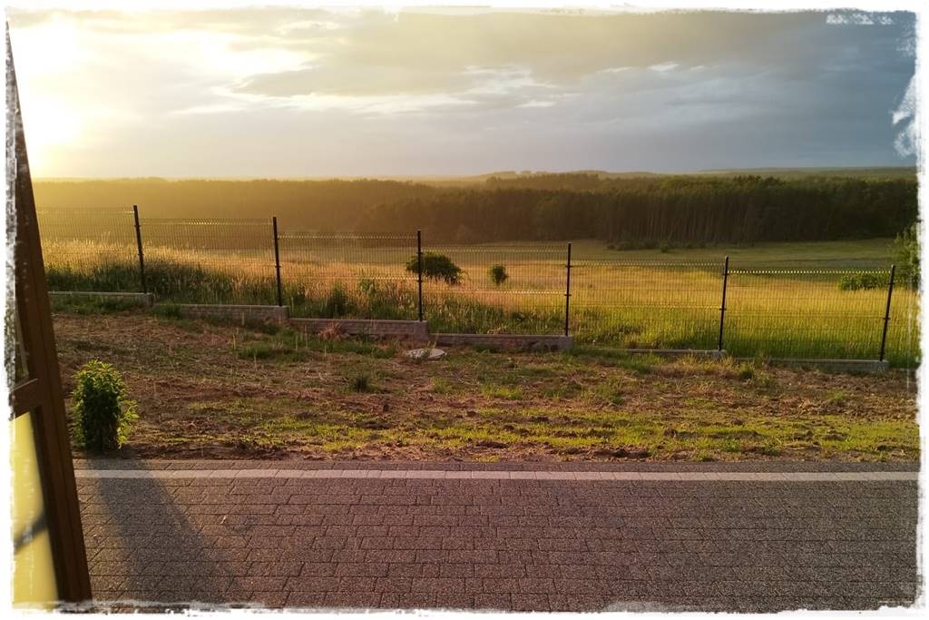 Kiedy sadzić żywopłot 33 Kiedy sadzić żywopłot 33