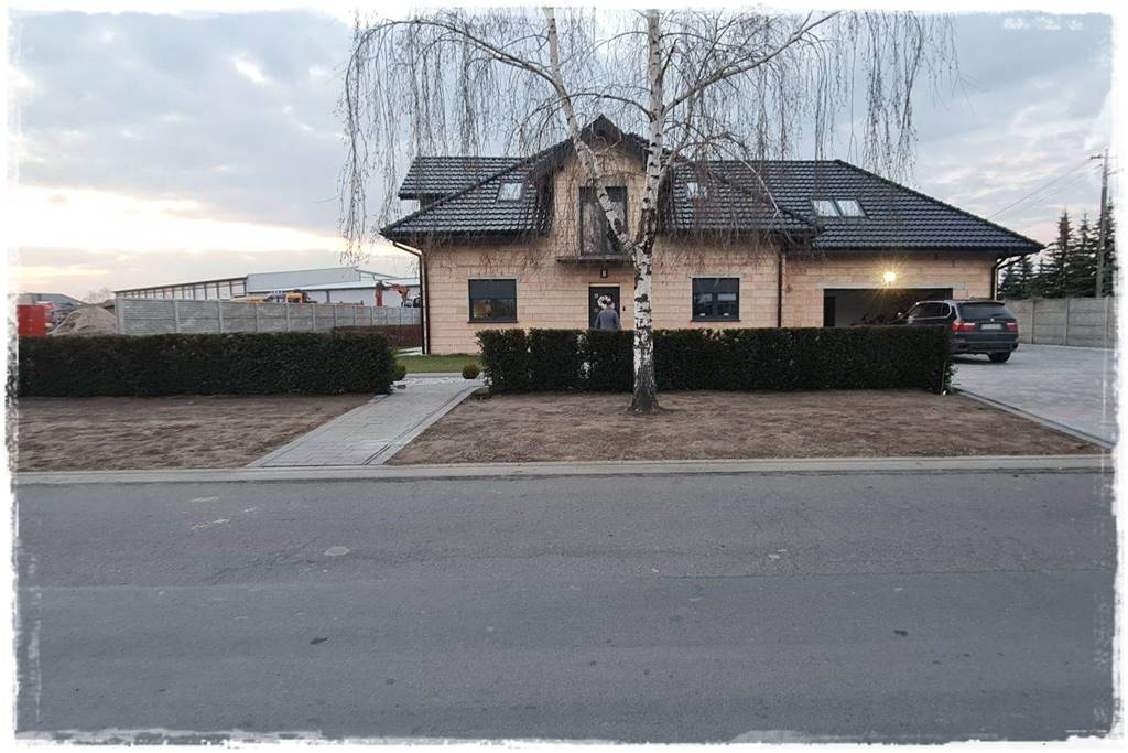 Kiedy sadzić żywopłot 34 Kiedy sadzić żywopłot 34