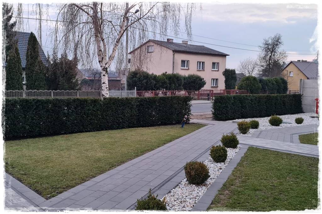 Kiedy sadzić żywopłot 45 Kiedy sadzić żywopłot 45