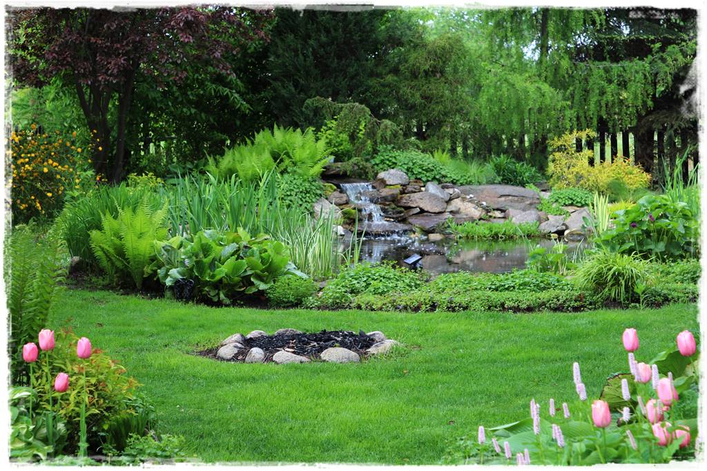 Ognisko czy palenisko 1 Ognisko czy palenisko 1