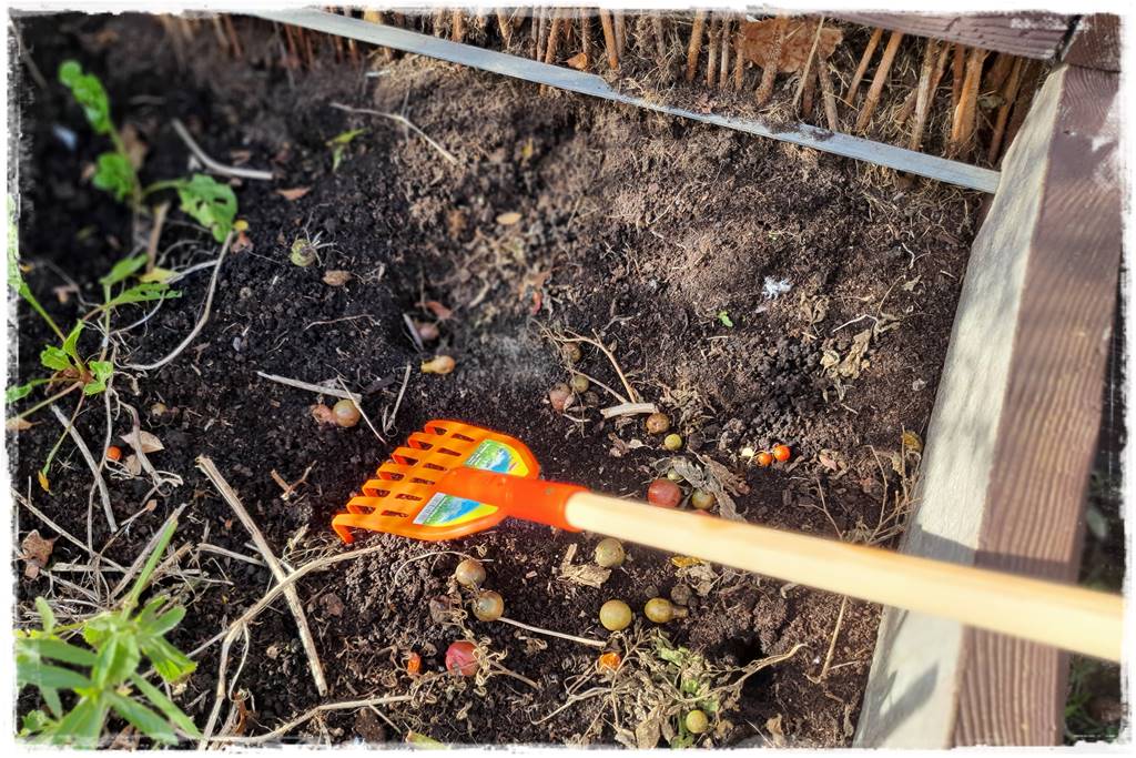 Zimowe warzywa 20 Zimowe warzywa 20