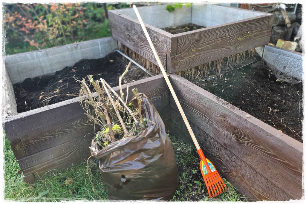 Zimowe warzywa 21 Zimowe warzywa 21