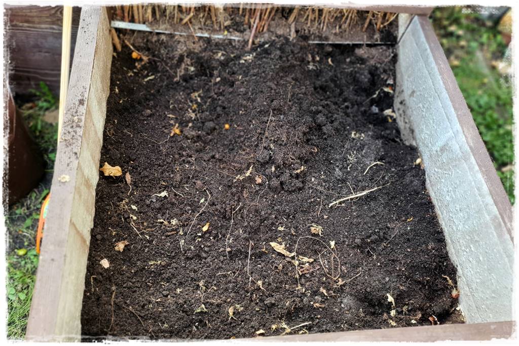 Zimowe warzywa 22 Zimowe warzywa 22