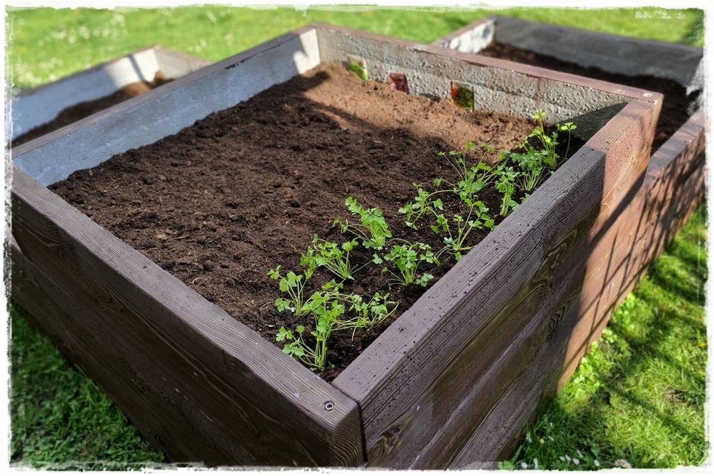 Zimowe warzywa 3 Zimowe warzywa 3