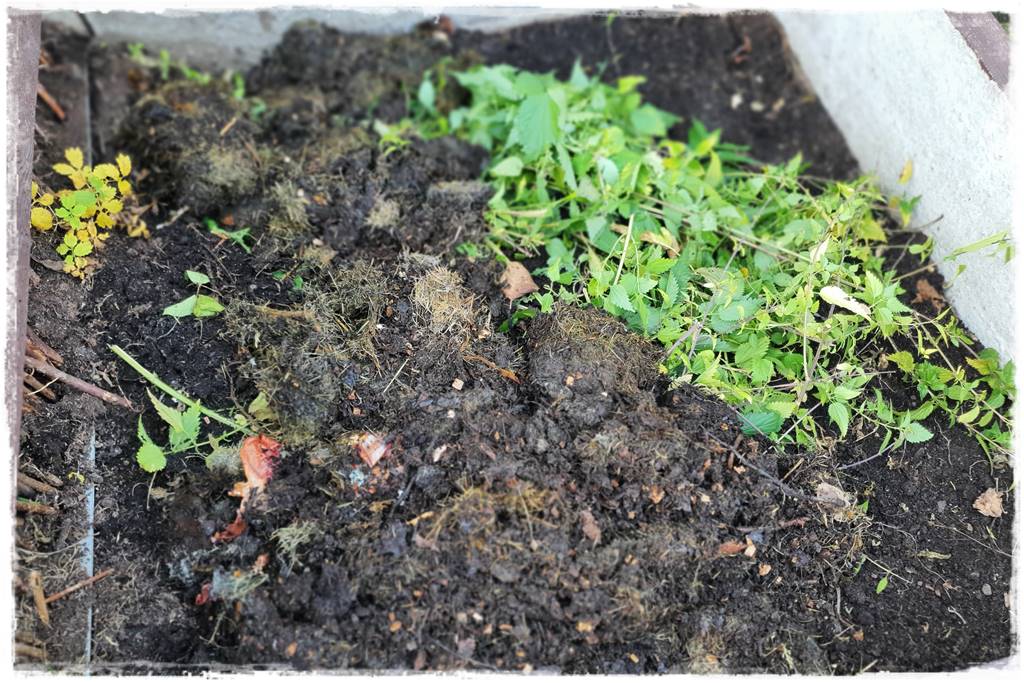 Zimowe warzywa 34 Zimowe warzywa 34