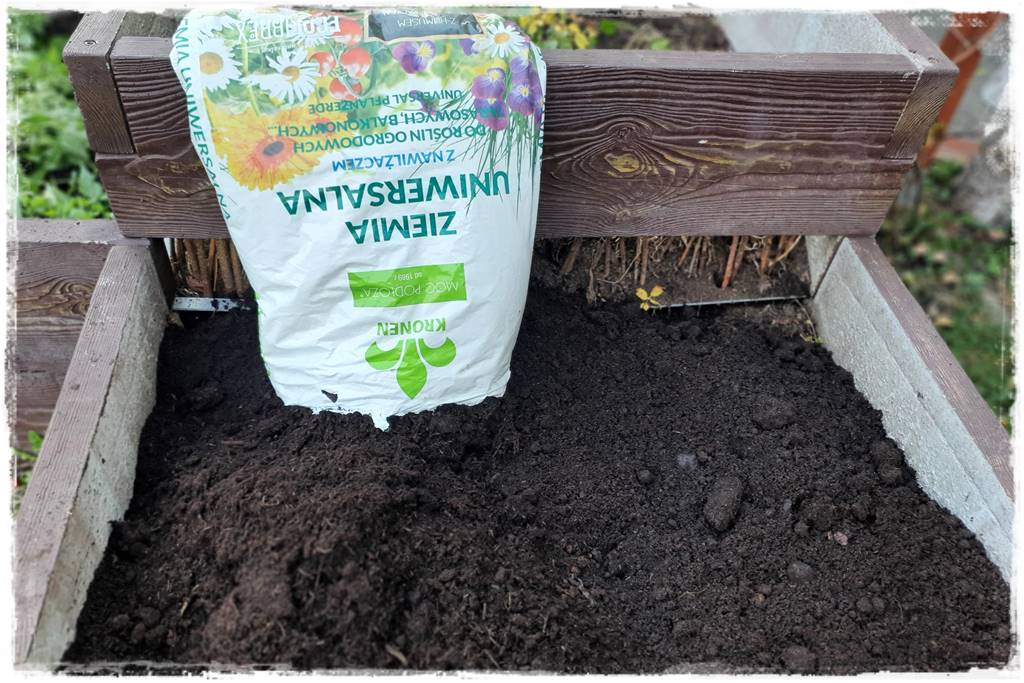 Zimowe warzywa 37 Zimowe warzywa 37