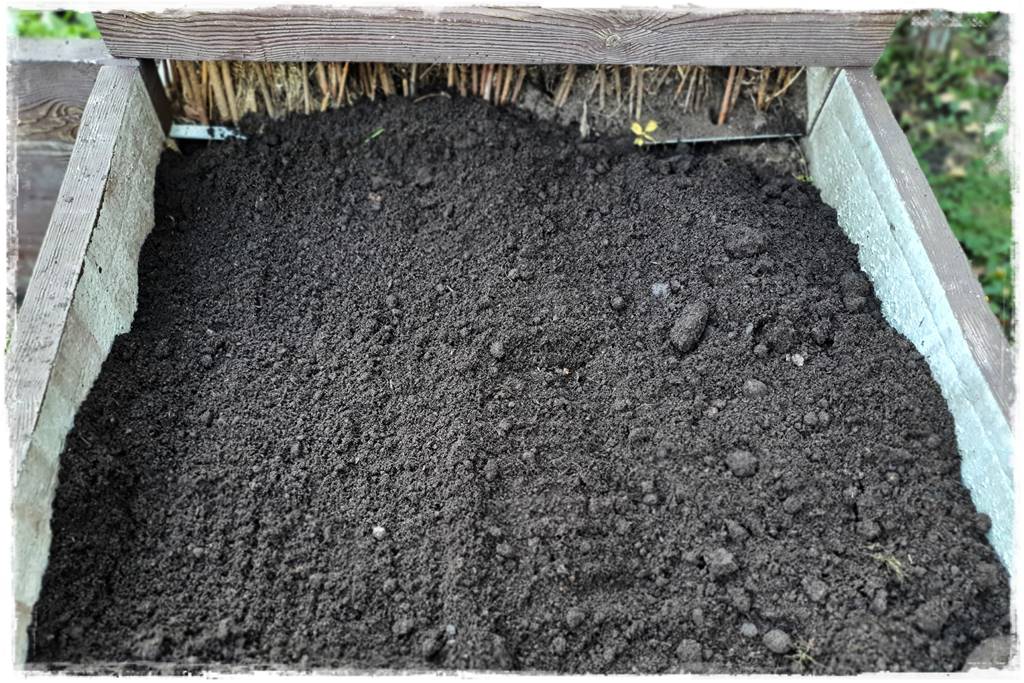 Zimowe warzywa 38 Zimowe warzywa 38