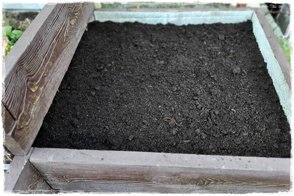 Zimowe warzywa 39 Zimowe warzywa 39