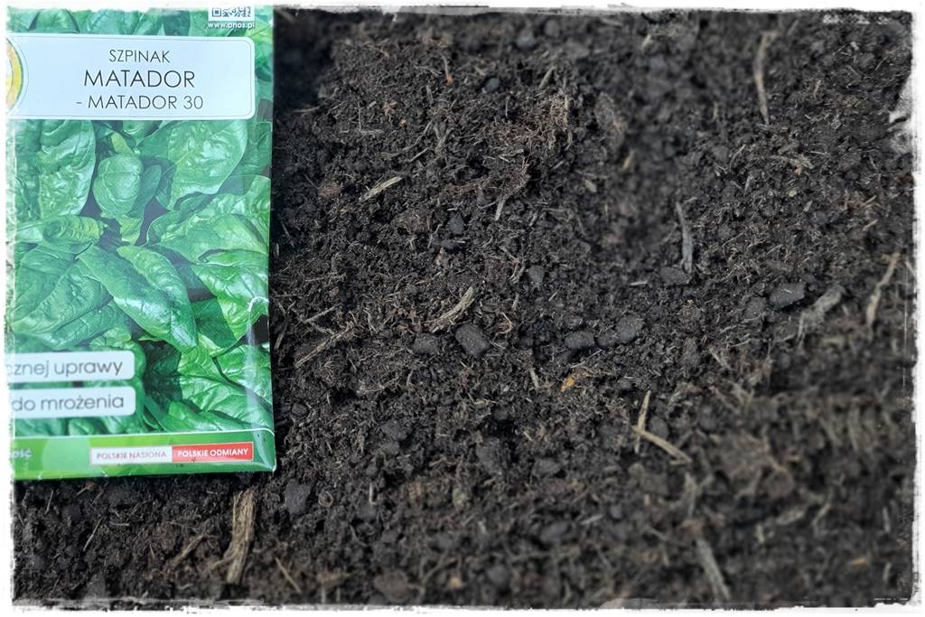 Zimowe warzywa 42 Zimowe warzywa 42