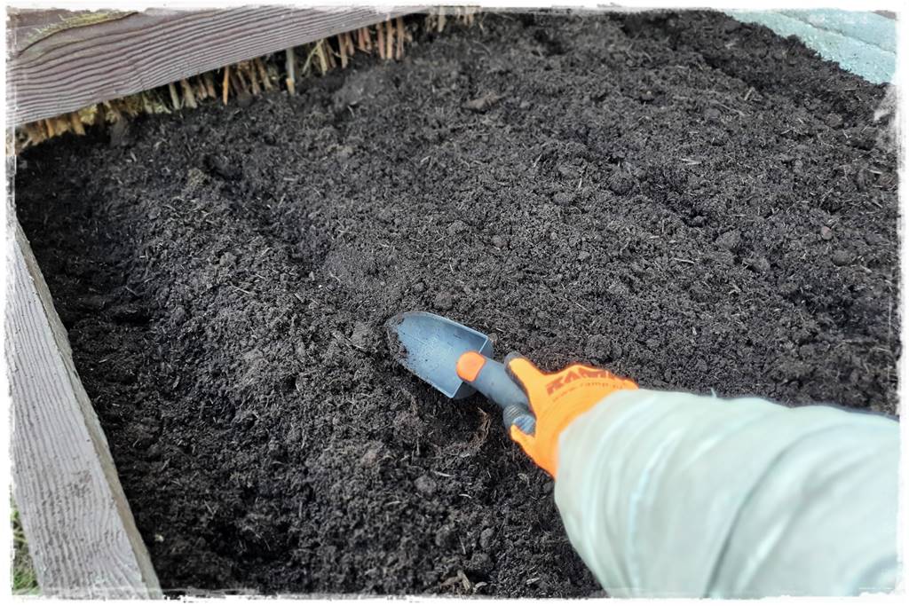 Zimowe warzywa 43 Zimowe warzywa 43