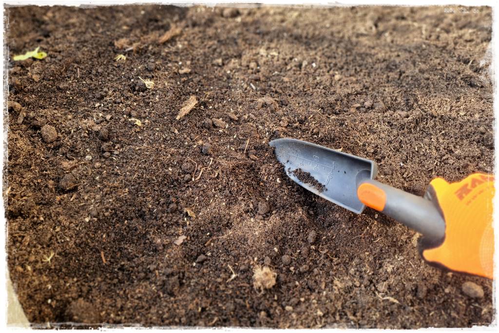 Zimowe warzywa 46 Zimowe warzywa 46