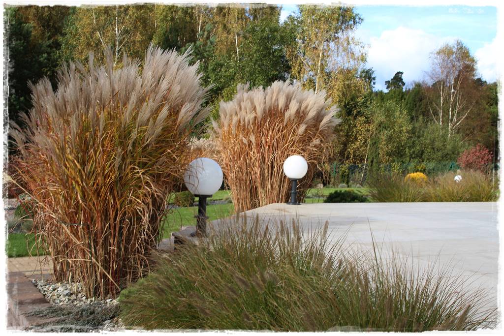 Jak osłonić taras 23