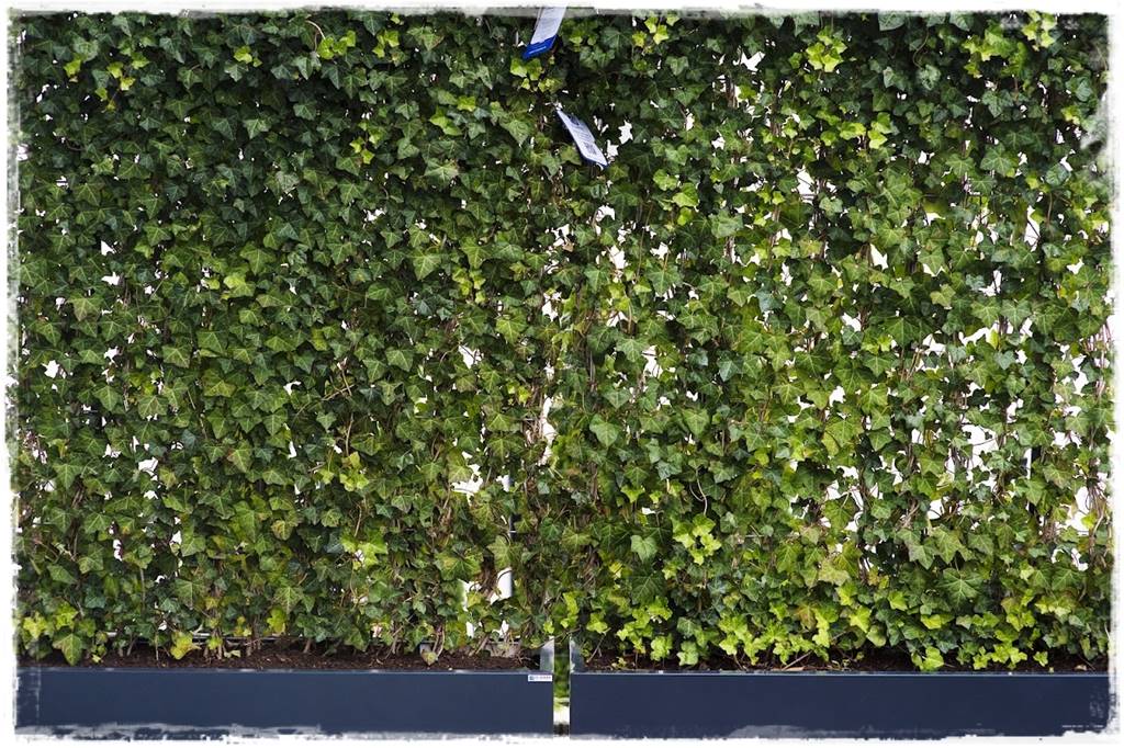 Jak osłonić taras 26