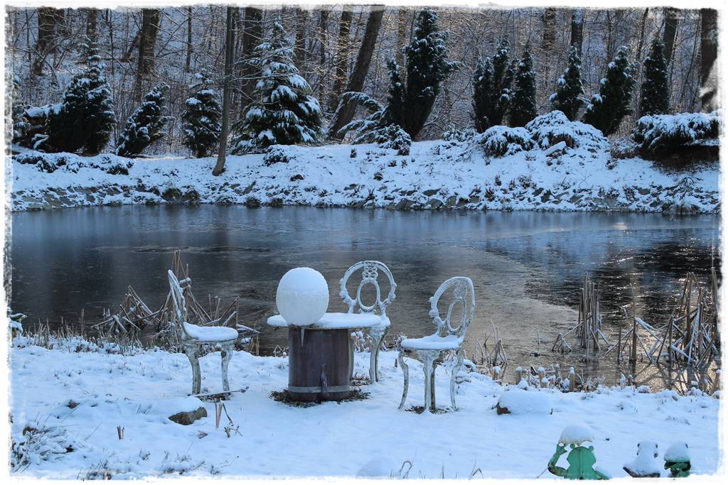 Okrywanie roślin na zimę 12
