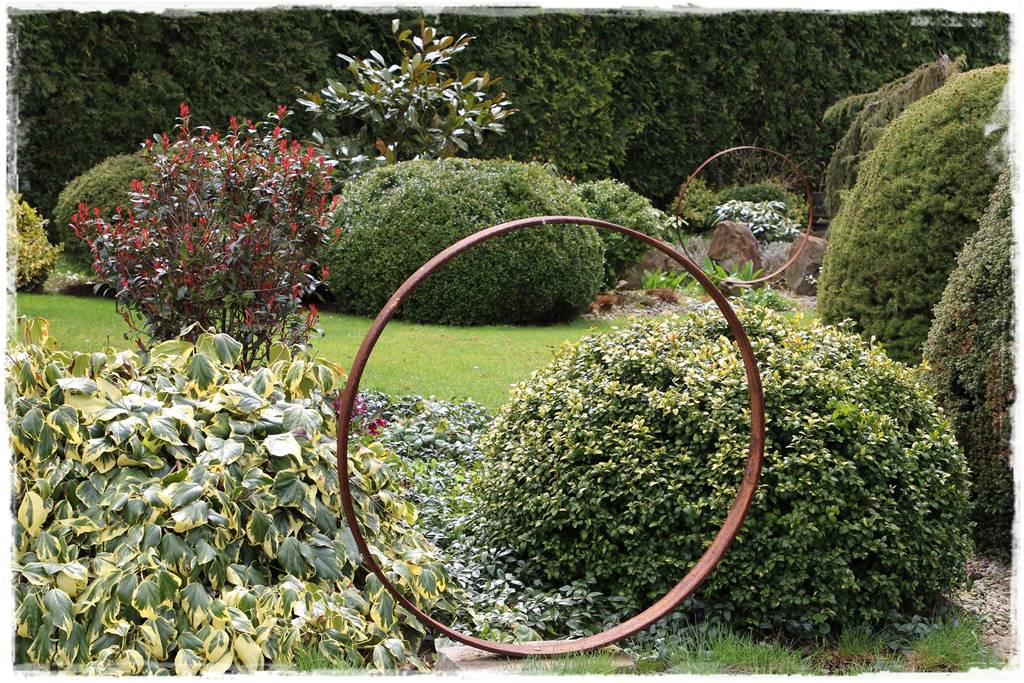 Bluszcz irlandzki 18