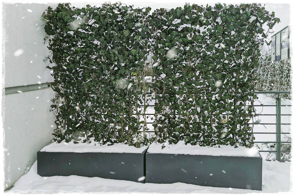 Processed with VSCO with preset Processed with VSCO with preset