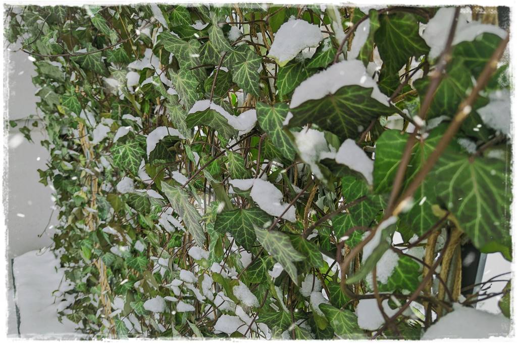 Processed with VSCO with preset Processed with VSCO with preset