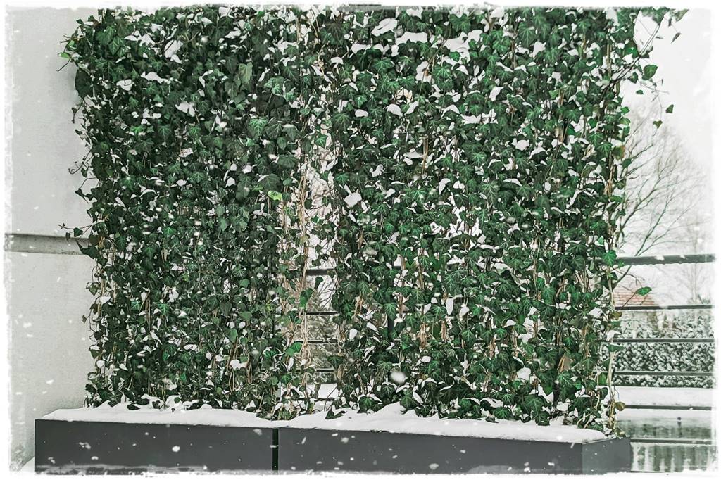 Processed with VSCO with preset