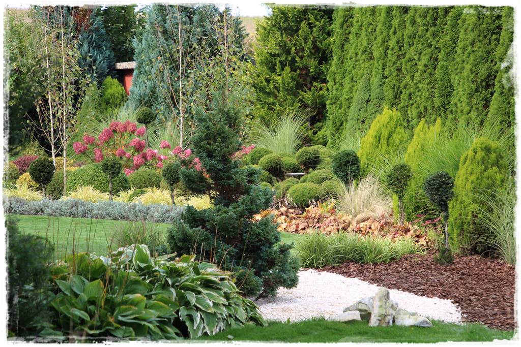 Jak wysypać korę w ogrodzie 1 Jak wysypać korę w ogrodzie 1