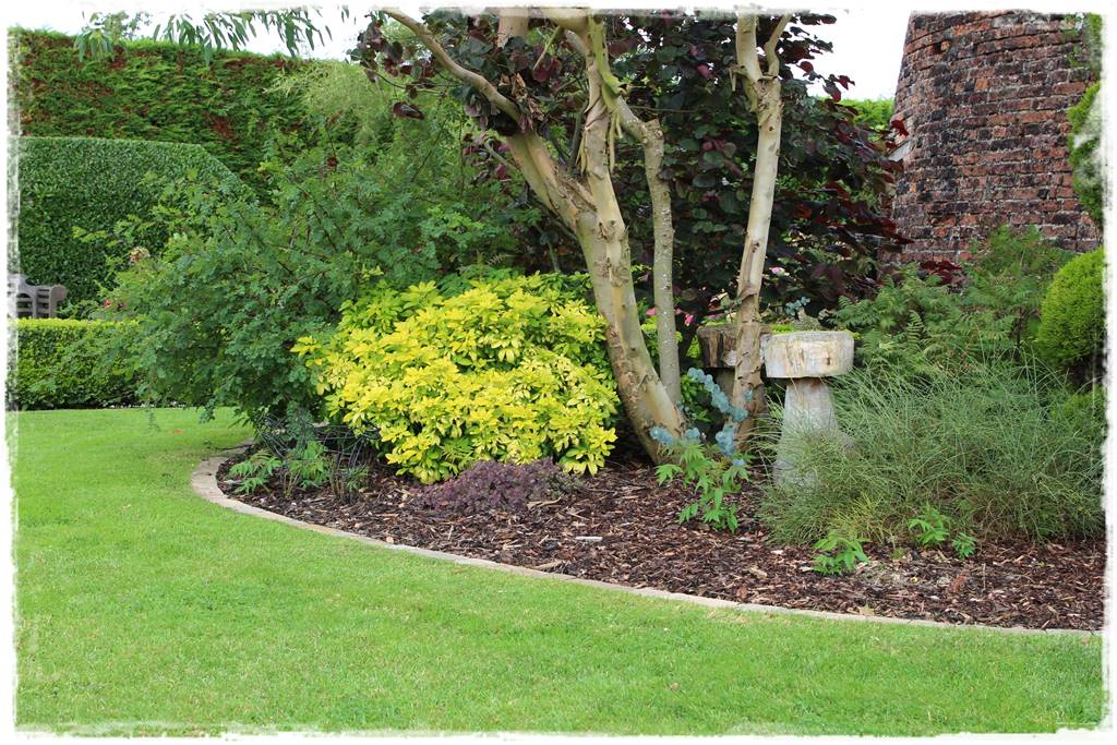 Jak wysypać korę w ogrodzie 12 Jak wysypać korę w ogrodzie 12