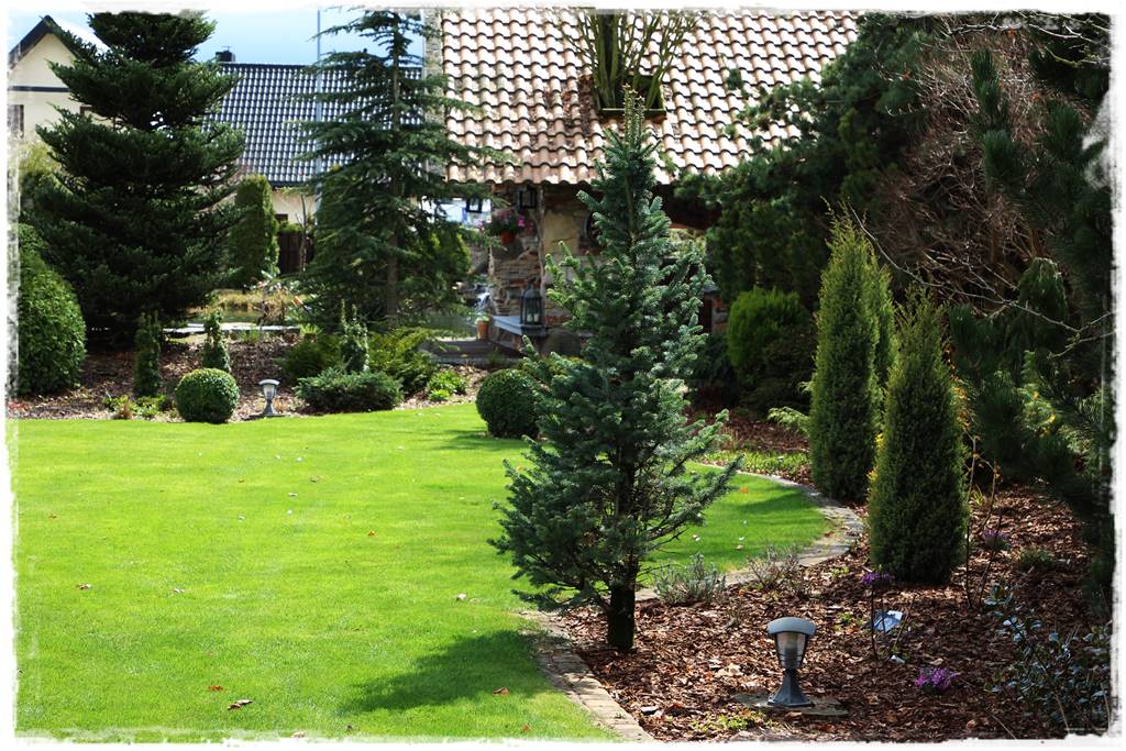 Jak wysypać korę w ogrodzie 14 Jak wysypać korę w ogrodzie 14