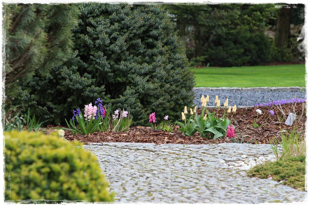 Jak wysypać korę w ogrodzie 16 Jak wysypać korę w ogrodzie 16