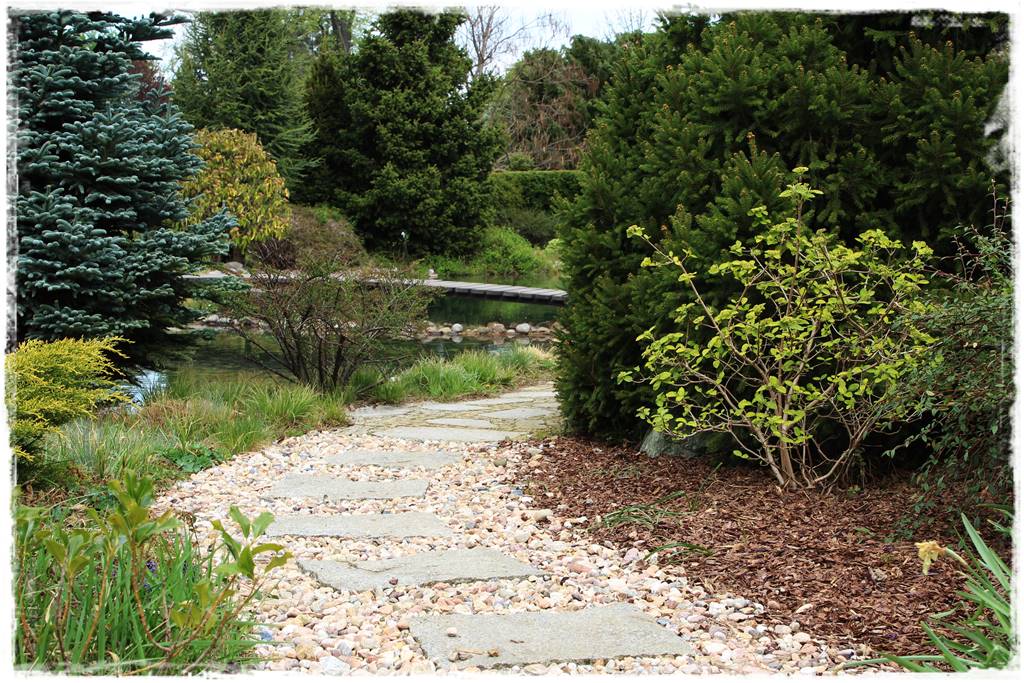 Jak wysypać korę w ogrodzie 18 Jak wysypać korę w ogrodzie 18