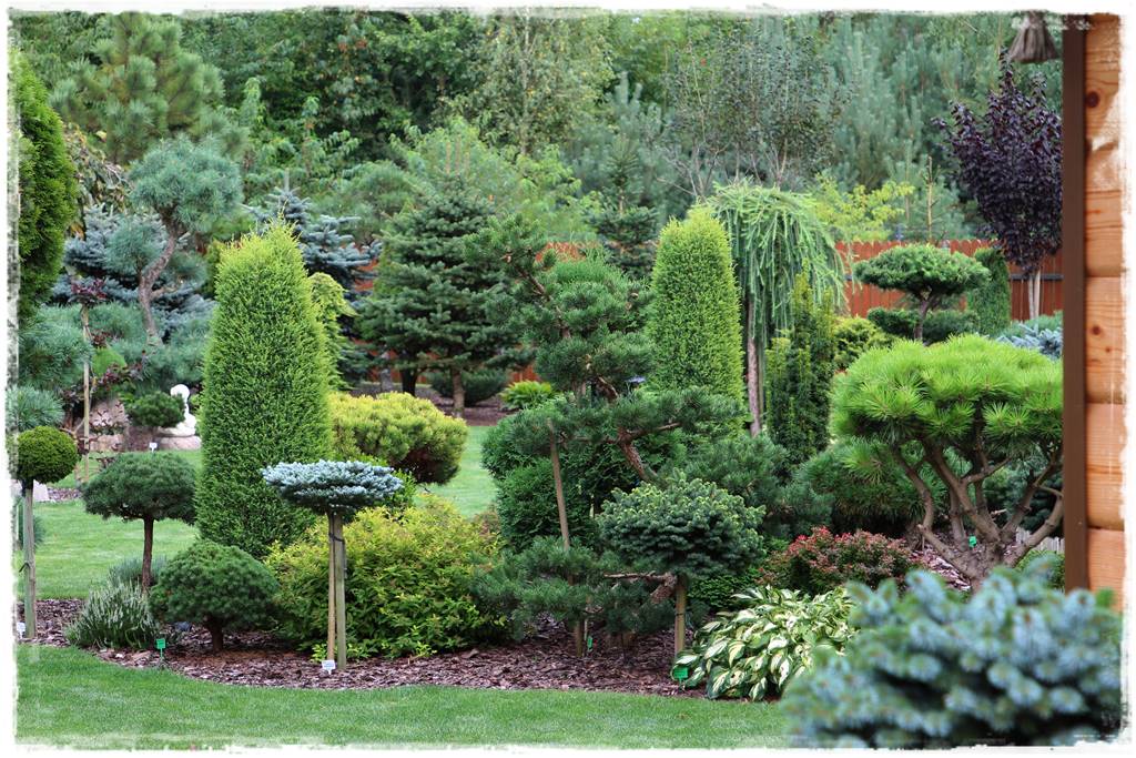 Jak wysypać korę w ogrodzie 20a Jak wysypać korę w ogrodzie 20a