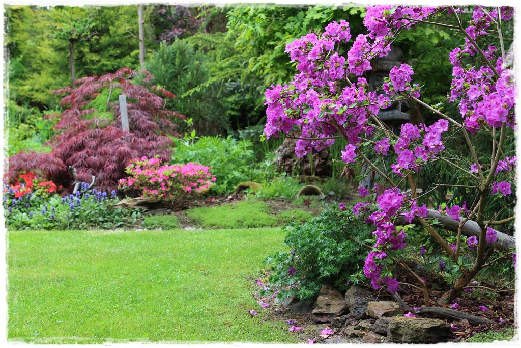 Jak wysypać korę w ogrodzie 22 Jak wysypać korę w ogrodzie 22