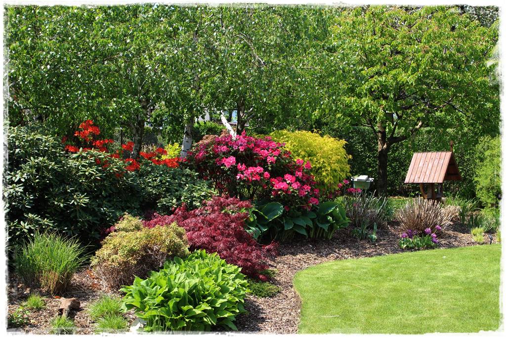 Jak wysypać korę w ogrodzie 22a Jak wysypać korę w ogrodzie 22a