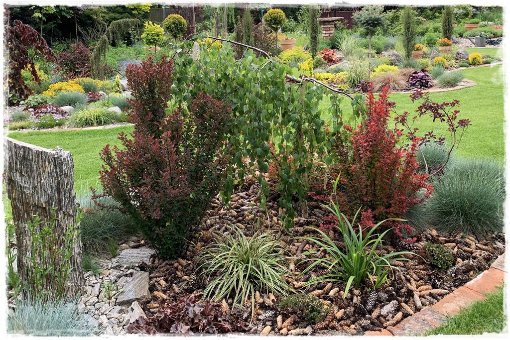 Jak wysypać korę w ogrodzie 27 Jak wysypać korę w ogrodzie 27