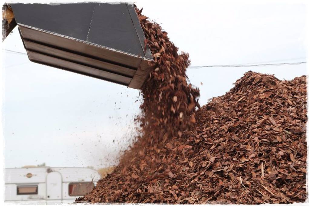 Jak wysypać korę w ogrodzie 39 Jak wysypać korę w ogrodzie 39