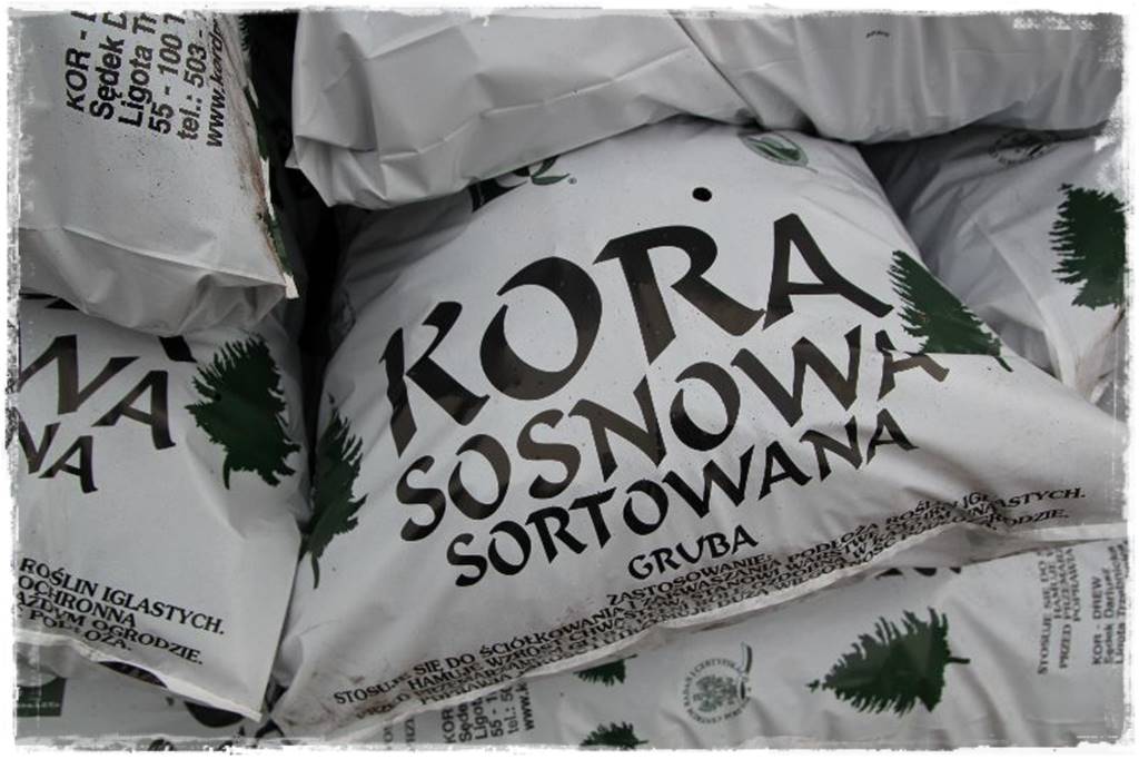 Jak wysypać korę w ogrodzie 41 Jak wysypać korę w ogrodzie 41