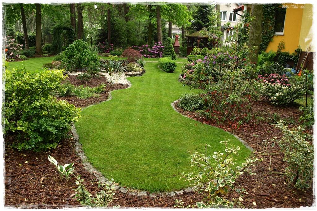 Jak wysypać korę w ogrodzie 5 Jak wysypać korę w ogrodzie 5