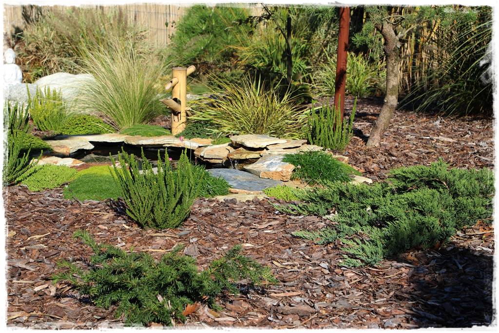 Jak wysypać korę w ogrodzie 50 Jak wysypać korę w ogrodzie 50