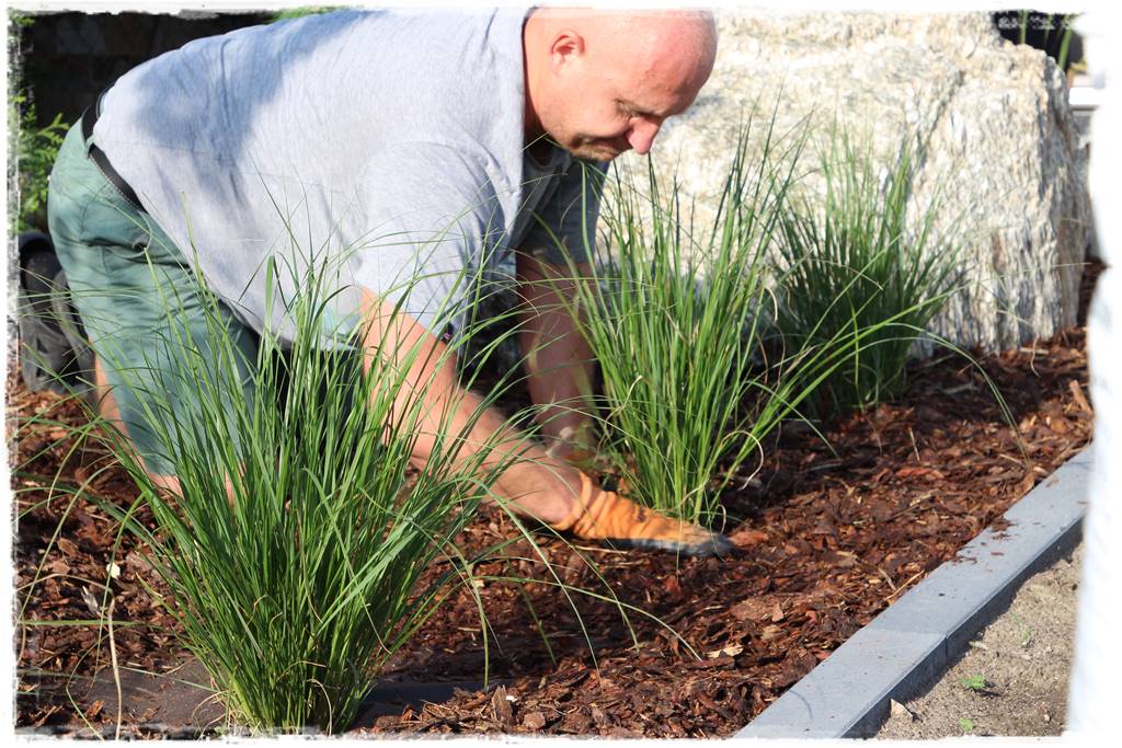 Jak wysypać korę w ogrodzie 51a Jak wysypać korę w ogrodzie 51a