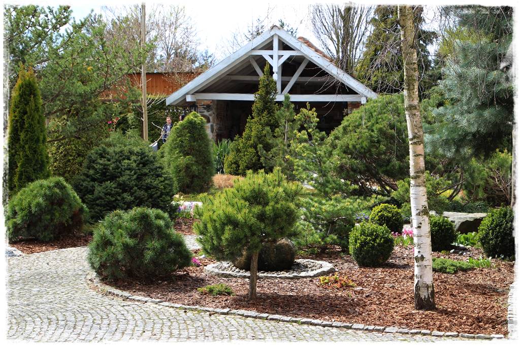 Jak wysypać korę w ogrodzie 6 Jak wysypać korę w ogrodzie 6