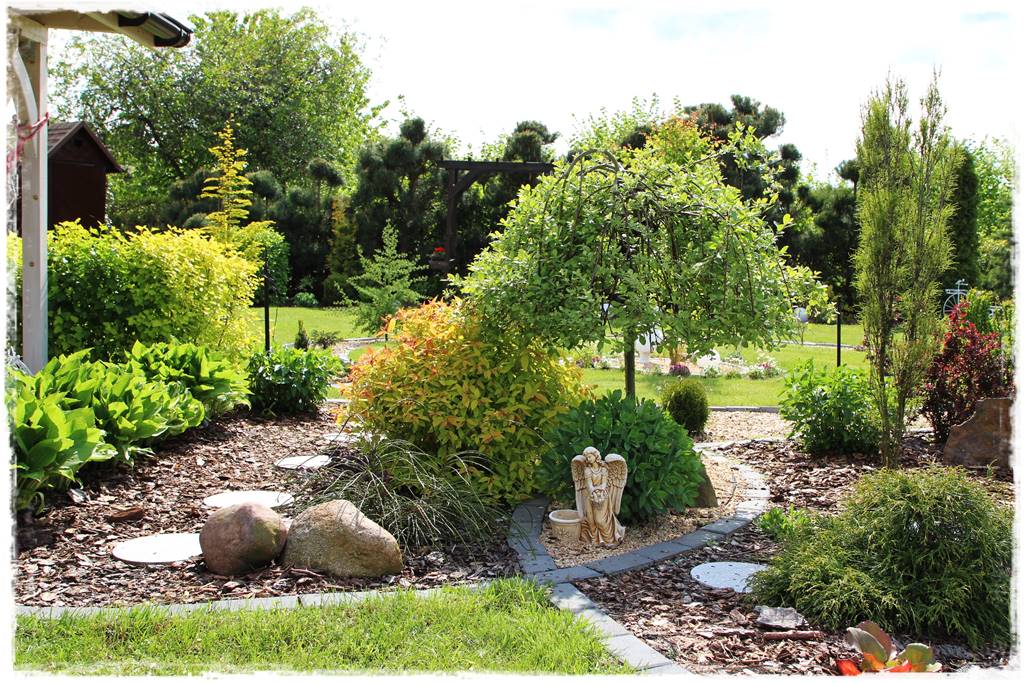 Jak wysypać korę w ogrodzie 60 Jak wysypać korę w ogrodzie 60